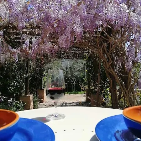 Villa Sogno Mediterraneo Pula Sardegna A 300 Mt Dal Mare