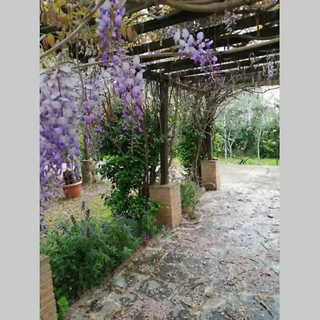 Pula Sardegna A 300 Mt Dal Mare Villa