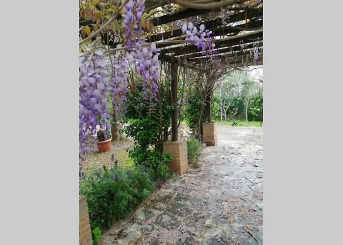 Sogno Mediterraneo Pula Sardegna A 300 Mt Dal Mare Villa
